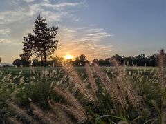 -汉长安城未央宫国家考古遗址公园