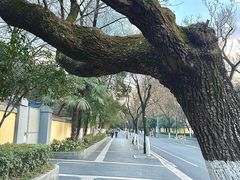 -颐和路民国时期公馆风貌区