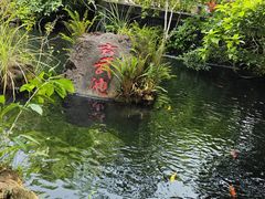 -海口火山口国家地质公园