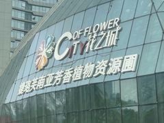 -花之城