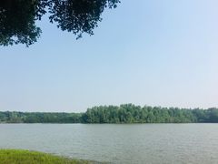 -大湾区中央湿地公园