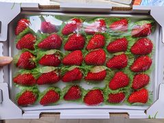 -牛奶便利(东四店)