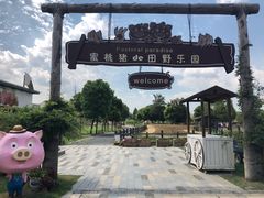 -田园东方蜜桃村的田野营地