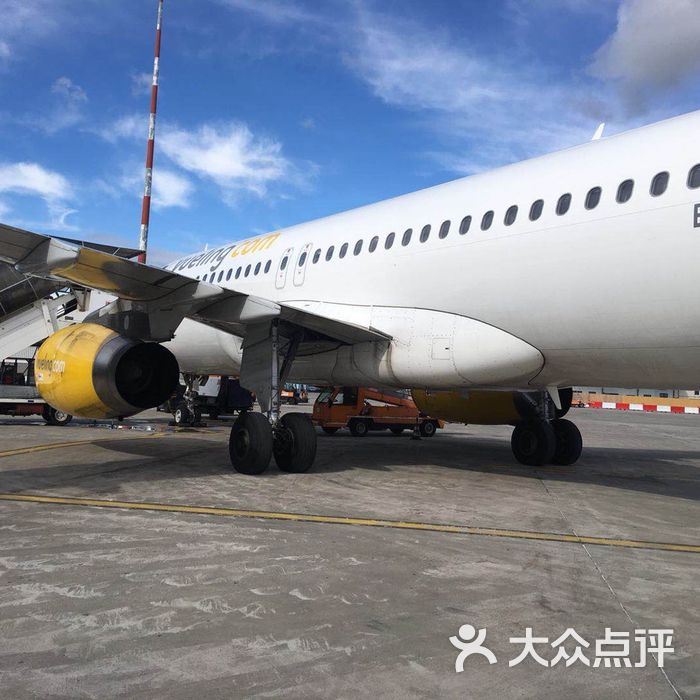 比萨伽利略国际机场