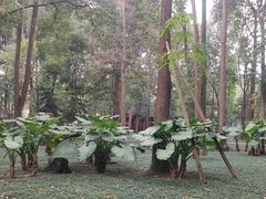 -成都杜甫草堂博物馆