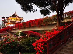 -甘家界牌柠檬鸭(青山店)