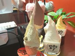 -野人先生现做冰淇淋(北京王府井东方新天地店)
