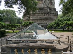 -玲珑塔公园