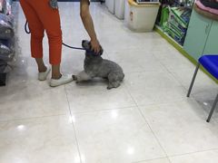 -贝妮宠物医院