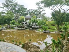 -东莞植物园