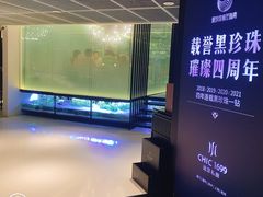 -CHIC1699远洋私厨