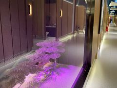 -红鼎豆捞·非遗鲍皇汤火锅(宝丰路店)