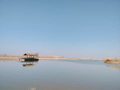 -宁波杭州湾国家湿地公园