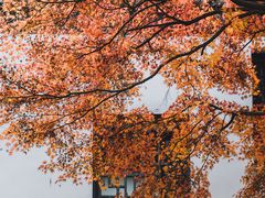 -惠山古镇·寄畅园