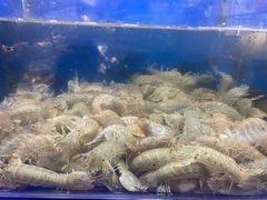 -好兄弟郭巨海鲜(天一阁店)