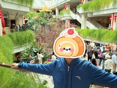 -正佳雨林生态植物园