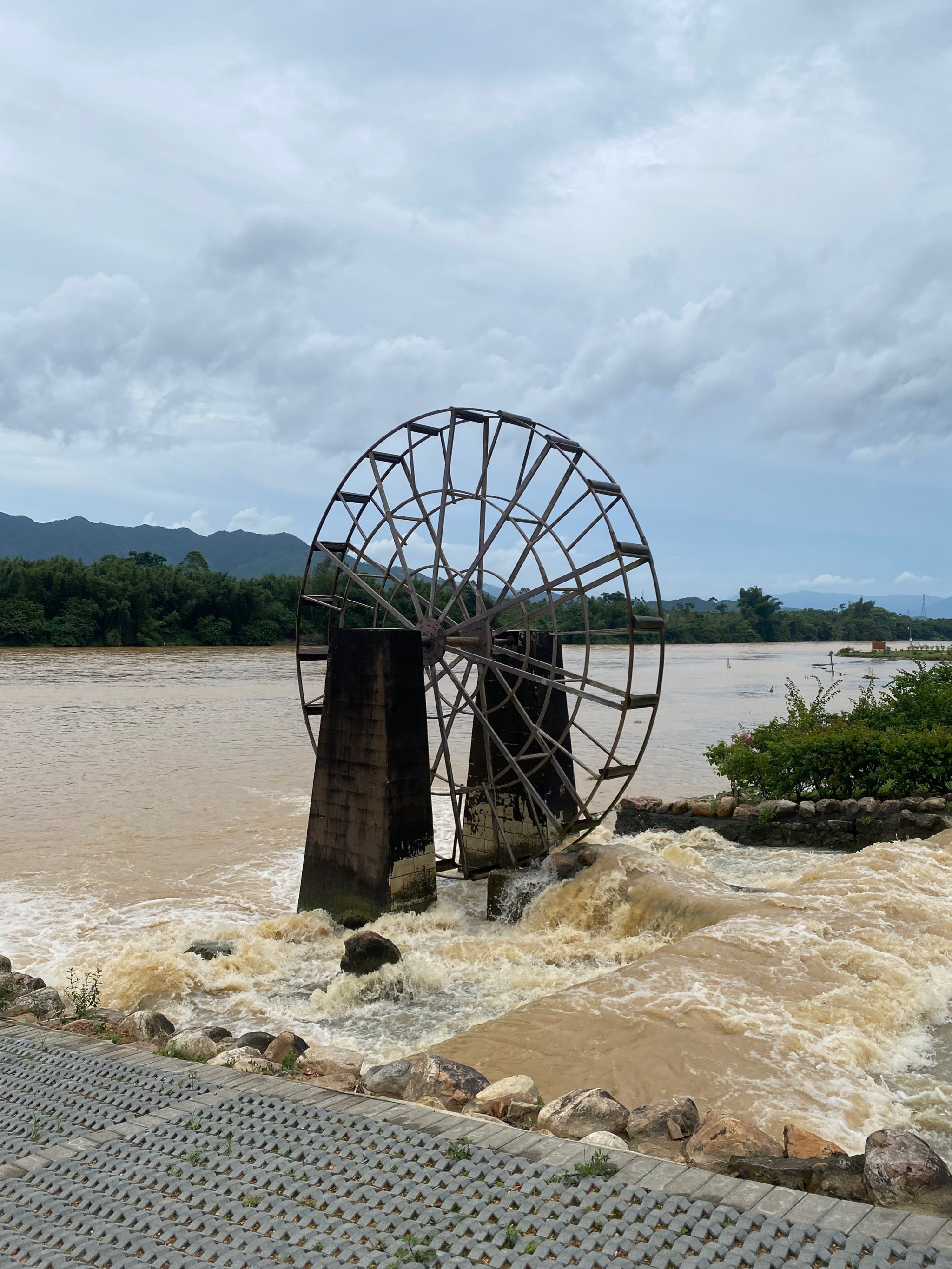 恩平市湿地公园图片