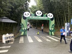 -都江堰中华大熊猫苑