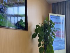 -上海皮肤专科医院