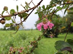 -下渚湖国家湿地公园科普馆