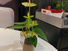 -眉州东坡(通州店)