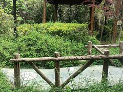 -麦积山温泉