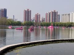 -莲花池公园
