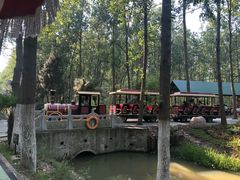 -合肥滨湖国家森林公园