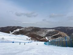 -密苑云顶乐园(云顶滑雪场)