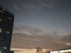 -童子鸡专卖店(中新街店)