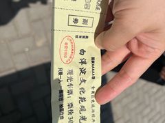 -白洋淀景区