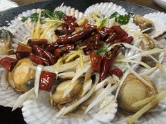 -鲁前海沿儿
