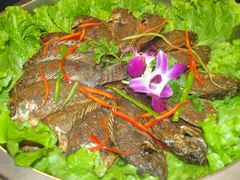 DSC08732-比尔森韩式烤肉自助(绿园店)