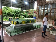 -水上人家河鲜