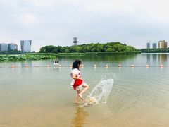 -暨阳湖生态园