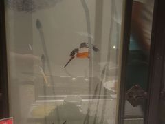 -大妙火锅·非物质文化遗产(东湖公园店)