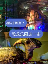 -恐龙探索乐园(磁器口店)