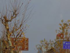 -紫阳古街