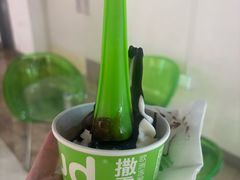 -Salud撒露欧洲冻酸奶(北苑上品店)