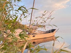 -洱海月湿地公园