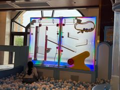 -童趣廊·儿童波波池·海洋球(长隆横琴湾酒店)