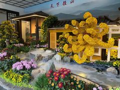 -杭州植物园