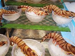 -半岛翡丽海鲜自助餐厅(观风亭店)