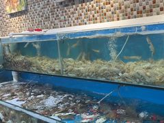 -港畔赶海蒸汽海鲜烧烤自助(仙螺岛店)