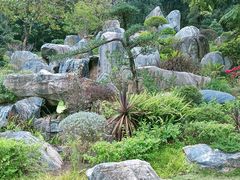 -东莞植物园