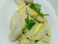 -明本湛江鸡•海鲜小厨(陈家祠店)