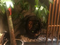 -泰·菩提树下[泰式按摩x精油SPAx肩颈头疗](新景店)