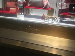 -Tiffany & Co.蒂芙尼
(南京德基广场店)