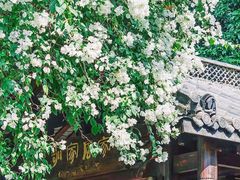 -深圳国际园林花卉博览园