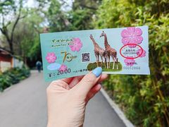 -昆明动物园